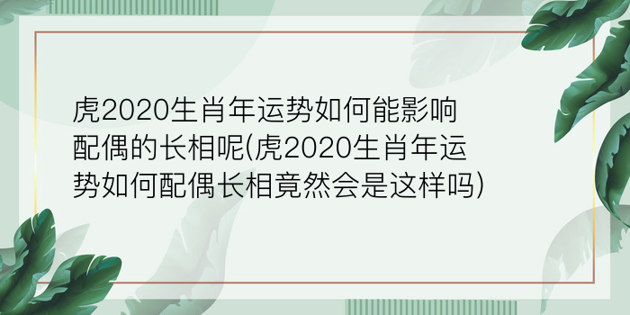 虎2020生肖年运势如何能影响配偶的长相呢(虎2020生肖年运势如何配偶长相竟然会是这样吗)