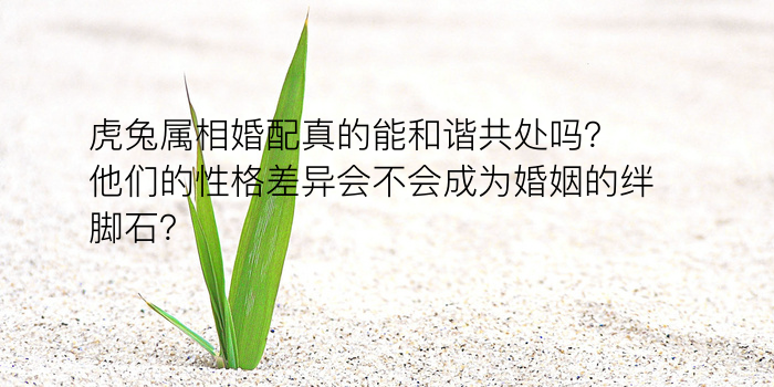 免费八字算命详批游戏截图