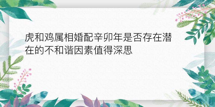 八字看流月运程游戏截图