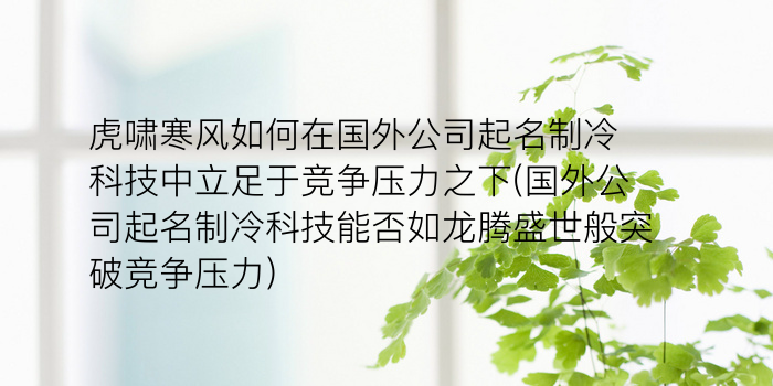 虎啸寒风如何在国外公司起名制冷科技中立足于竞争压力之下(国外公司起名制冷科技能否如龙腾盛世般突破竞争压力)