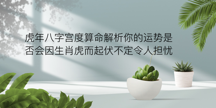 虎年八字宫度算命解析你的运势是否会因生肖虎而起伏不定令人担忧