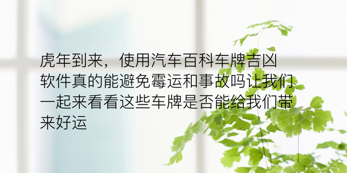 虎年到来，使用汽车百科车牌吉凶软件真的能避免霉运和事故吗让我们一起来看看这些车牌是否能给我们带来好运