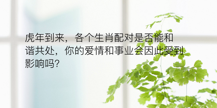 虎年到来，各个生肖配对是否能和谐共处，你的爱情和事业会因此受到影响吗？