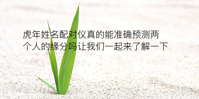 生日配对soul游戏截图