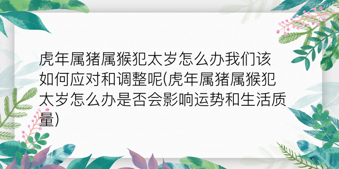 二零二算运网