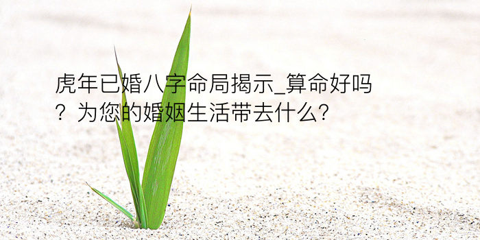 紫微八字算运程游戏截图