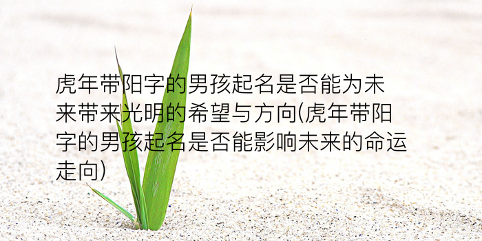 公司起名免费网打分游戏截图