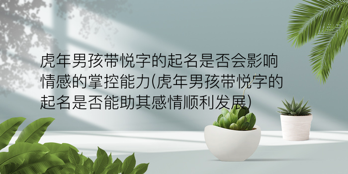 李苗同名同姓游戏截图