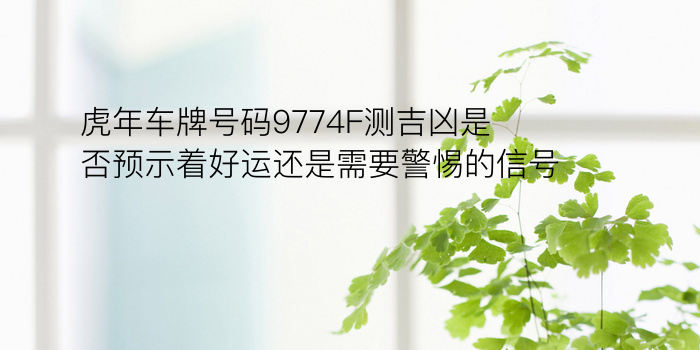 虎年车牌号码9774F测吉凶是否预示着好运还是需要警惕的信号