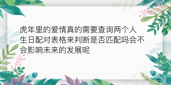 二零二算运网