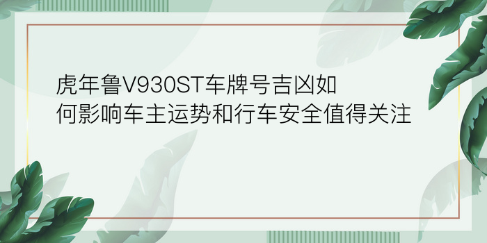 虎年鲁V930ST车牌号吉凶如何影响车主运势和行车安全值得关注