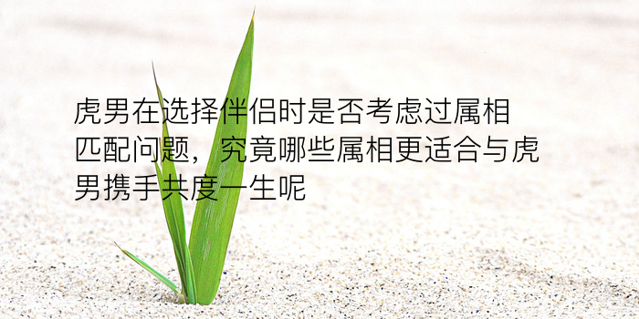 车牌吉凶号游戏截图