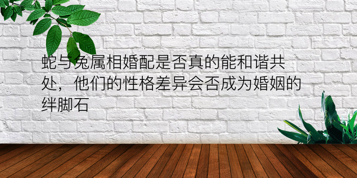 蛇与兔属相婚配是否真的能和谐共处，他们的性格差异会否成为婚姻的绊脚石