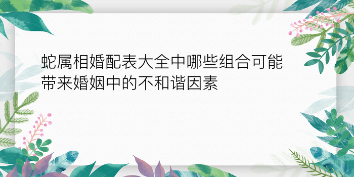 蛇属相婚配表大全中哪些组合可能带来婚姻中的不和谐因素