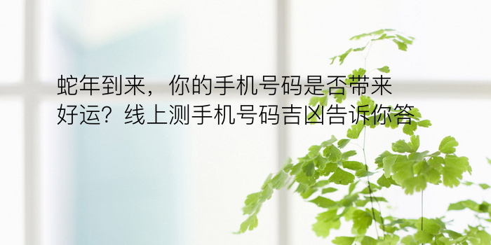 小车牌吉凶游戏截图