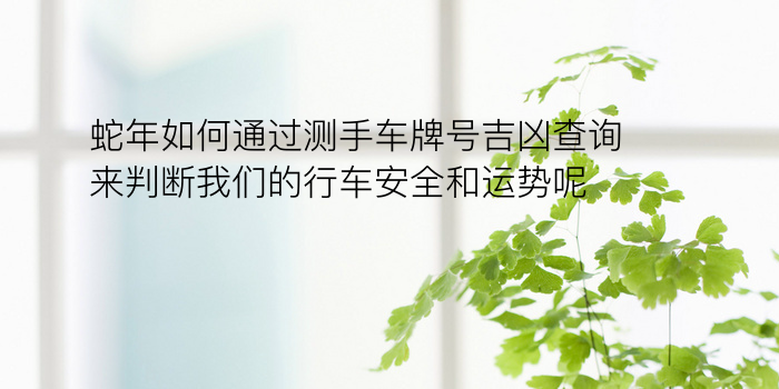 蛇年如何通过测手车牌号吉凶查询来判断我们的行车安全和运势呢