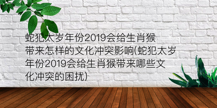 大师算命十二生肖猪游戏截图