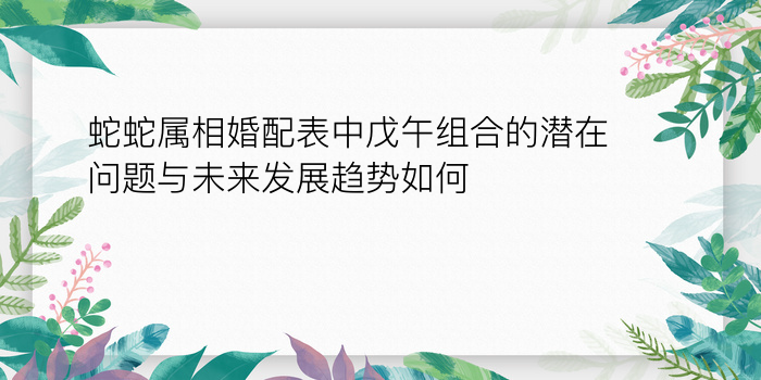 蛇蛇属相婚配表中戊午组合的潜在问题与未来发展趋势如何