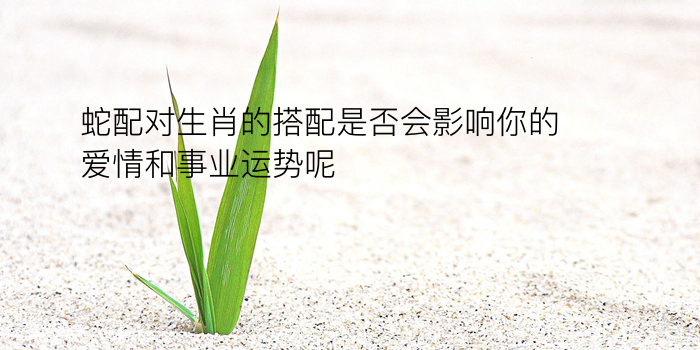 生日配对测试婚姻缘游戏截图