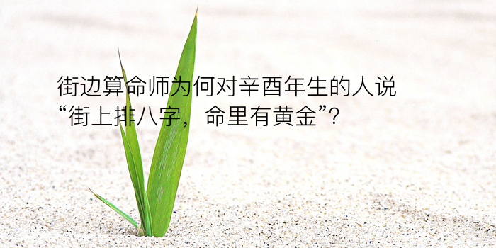 三藏八字算命网游戏截图