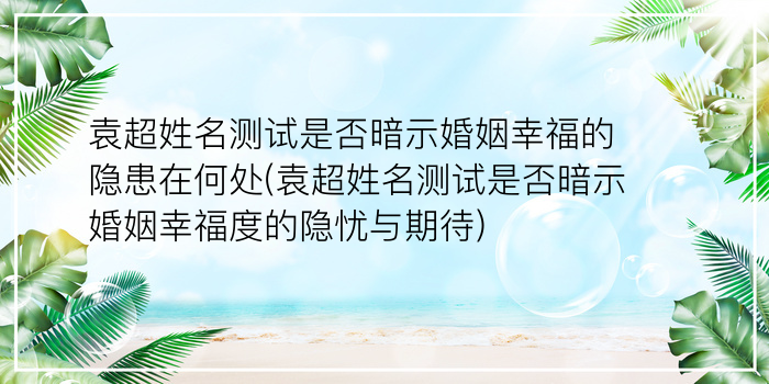 姓名测试1518游戏截图