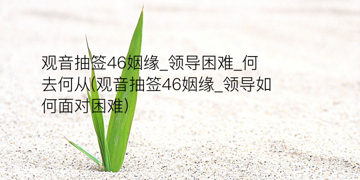 黄大仙63签游戏截图