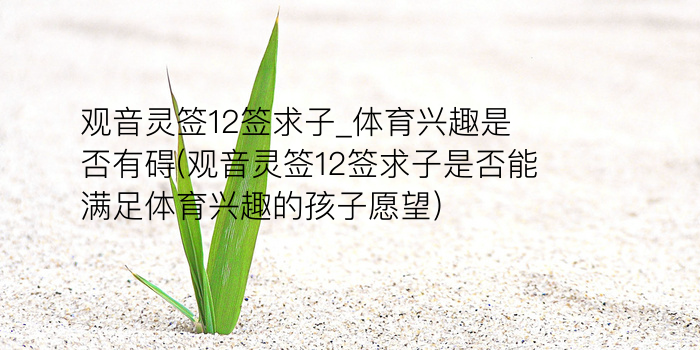 妈祖灵签22签解签全文游戏截图