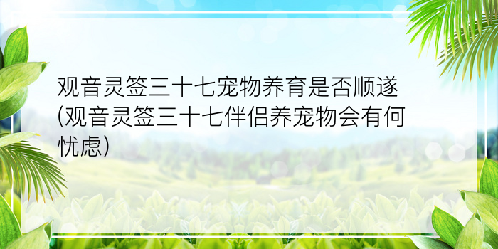 观音灵签三十七宠物养育是否顺遂(观音灵签三十七伴侣养宠物会有何忧虑)