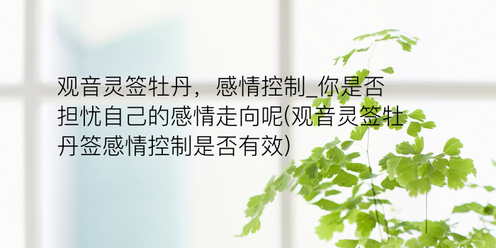 玉帝灵签六十签游戏截图