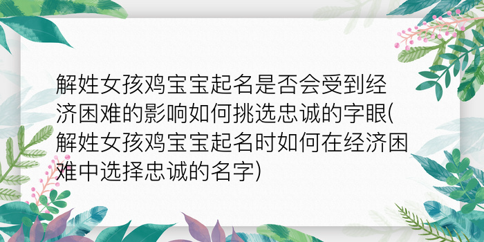 二零二算运网