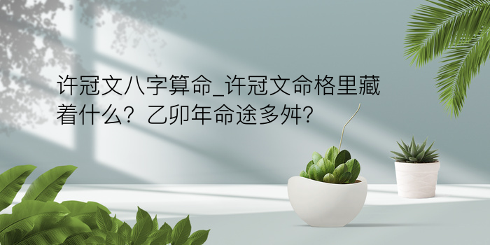 许冠文八字算命_许冠文命格里藏着什么？乙卯年命途多舛？