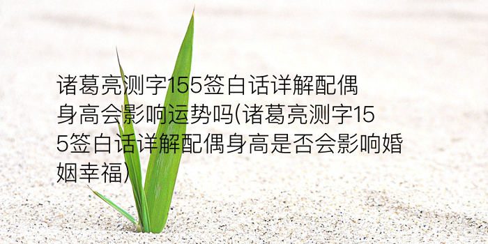 姓名测试生辰八字游戏截图