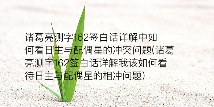 诸葛测字169游戏截图