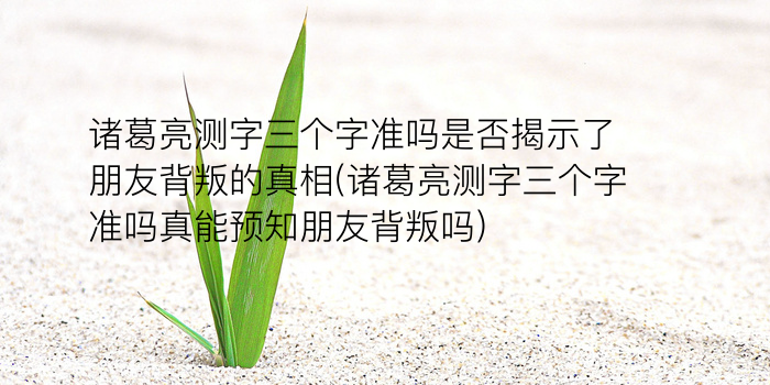 诸葛测字三个字384签游戏截图