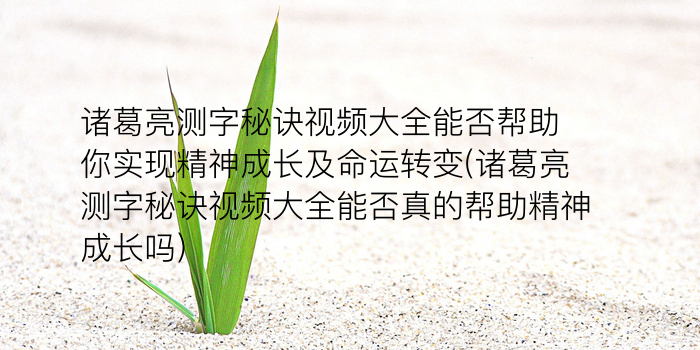 免费算命的网站游戏截图