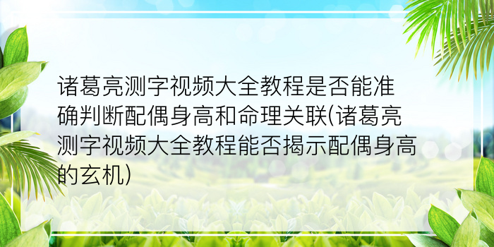 诸葛测字三个字免费234游戏截图