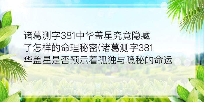 诸葛测字381中华盖星究竟隐藏了怎样的命理秘密(诸葛测字381华盖星是否预示着孤独与隐秘的命运)