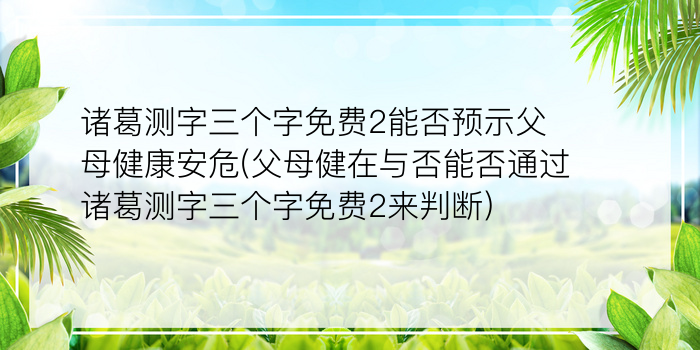 诸葛亮神算测字方法游戏截图