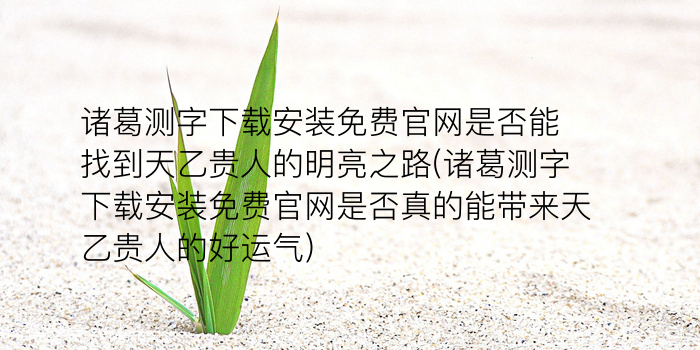 最准免费八字算命游戏截图