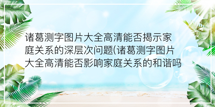 诸葛测字周易测字打分游戏截图