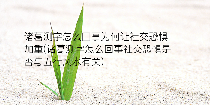 紫薇姓名测试游戏截图