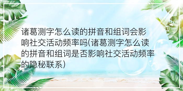 诸葛测字巨鳖游戏截图