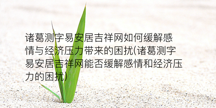 诸葛测字4个字游戏截图