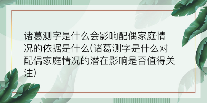 诸葛测字145解签游戏截图