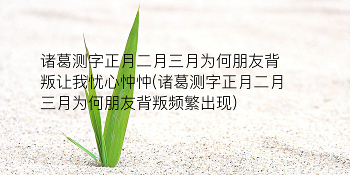 免费老黄历八字算命游戏截图