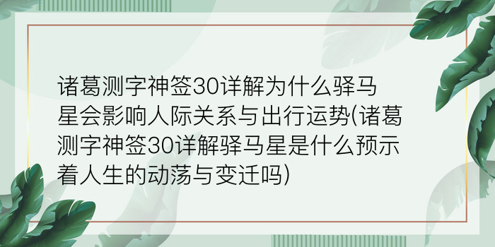 二零二算运网