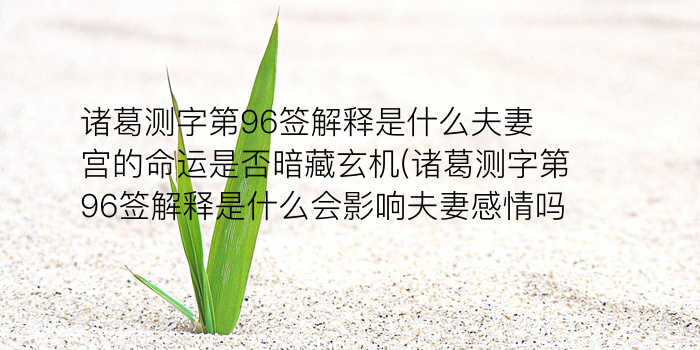 姓名缘分测试游戏截图