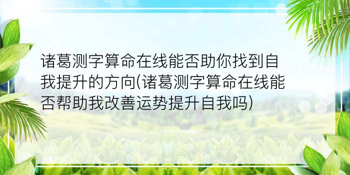 最准的免费算命网游戏截图