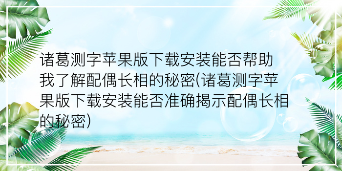 诸葛神算384测字方法游戏截图