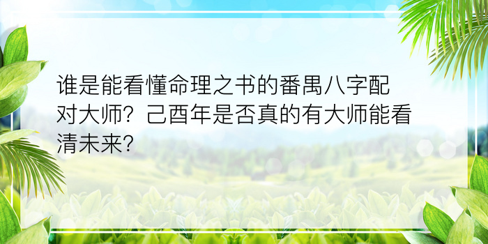 谁是能看懂命理之书的番禺八字配对大师？己酉年是否真的有大师能看清未来？